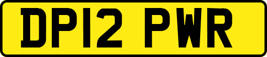 DP12PWR