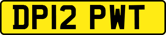 DP12PWT