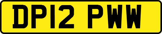 DP12PWW