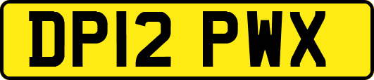 DP12PWX