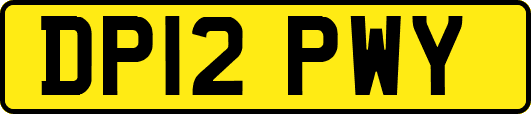 DP12PWY