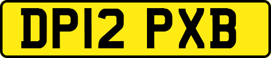 DP12PXB