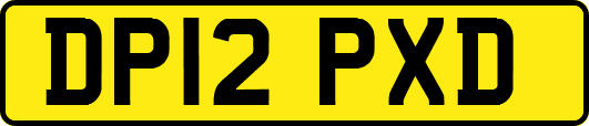 DP12PXD