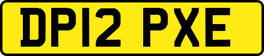 DP12PXE
