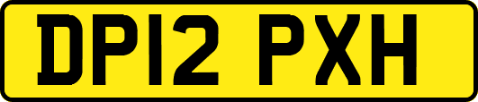 DP12PXH