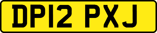 DP12PXJ