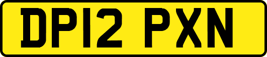 DP12PXN