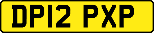 DP12PXP