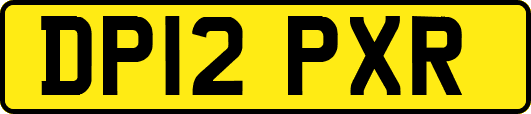 DP12PXR