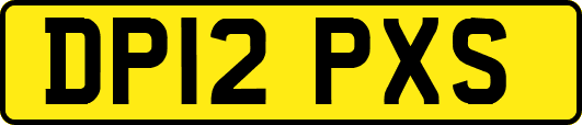 DP12PXS