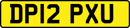DP12PXU
