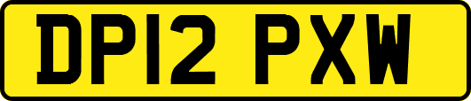 DP12PXW