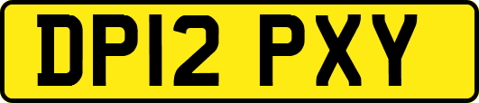DP12PXY
