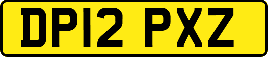 DP12PXZ