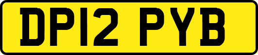 DP12PYB
