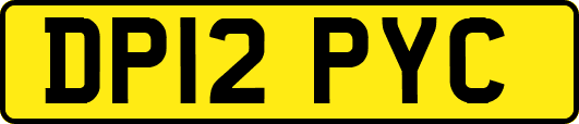 DP12PYC