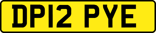 DP12PYE
