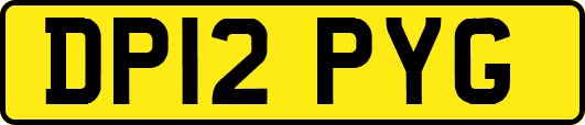 DP12PYG