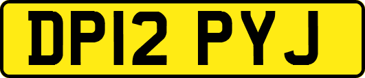 DP12PYJ