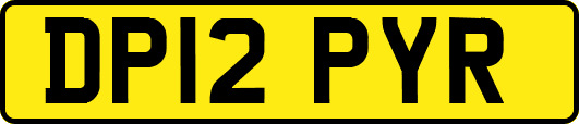 DP12PYR