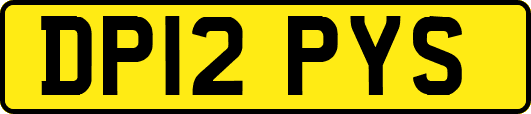 DP12PYS