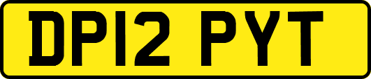 DP12PYT