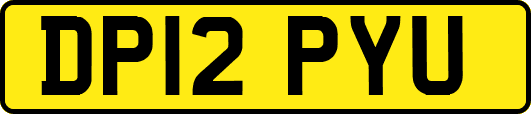 DP12PYU