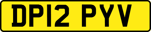 DP12PYV