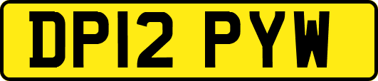 DP12PYW