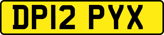 DP12PYX