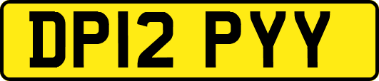 DP12PYY