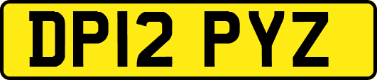 DP12PYZ