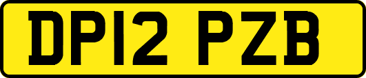 DP12PZB