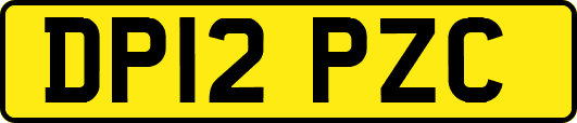 DP12PZC