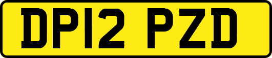DP12PZD