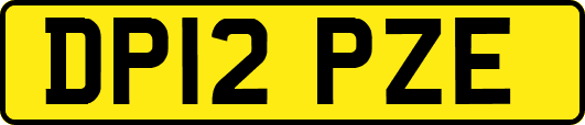 DP12PZE