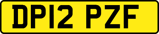 DP12PZF