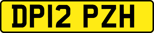 DP12PZH