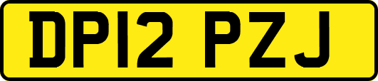 DP12PZJ
