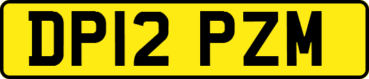 DP12PZM