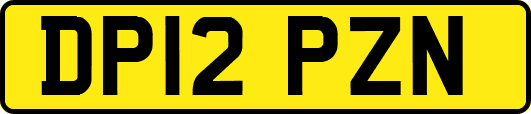 DP12PZN