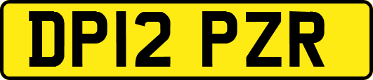 DP12PZR