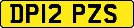 DP12PZS