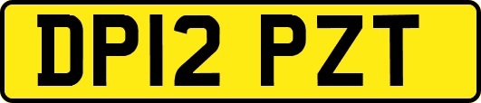 DP12PZT