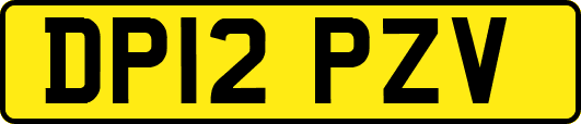 DP12PZV