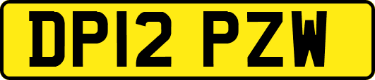 DP12PZW