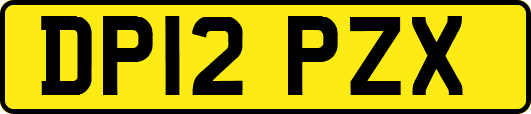 DP12PZX