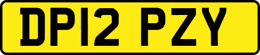 DP12PZY