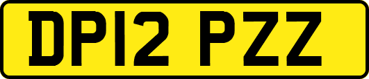 DP12PZZ
