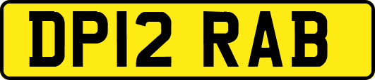 DP12RAB